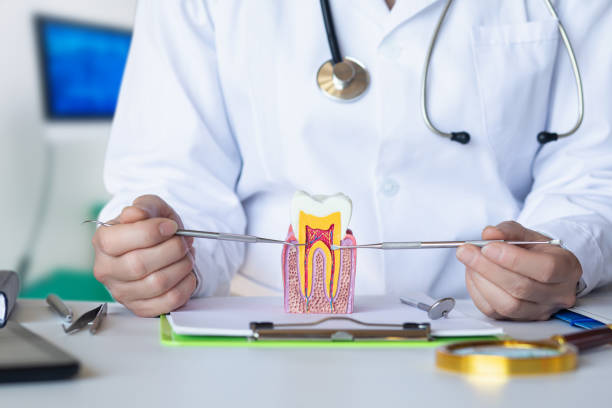 Best Emergency Tooth Extraction in Lemont, IL